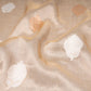 Zareen Silk Tissue Banarasi Handwoven Saree