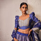 Sitara Banarasi Handwoven Electric Blue Silk Lehenga